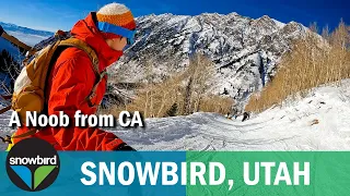 USA | Snowbird in Utah (IKON PASS) "I'm not JOKING, Snowbird is Really CHALLENGING!!