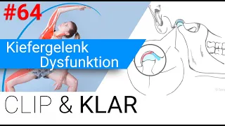 Kiefergelenk Dysfunktion erklärt - Knirschen, knacken, klemmen