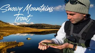 TROUT FISHING THE SNOWY MOUNTAINS