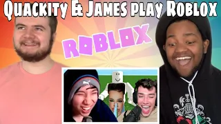 Quackity 'James Charles Is The Funniest Roblox Player Ever' REACTION