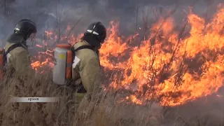 Пожароопасный сезон начался раньше обычного в ЕАО