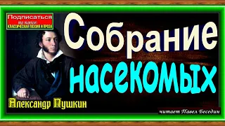 Собрание насекомых ,Александр Пушкин ,Русская Поэзия ,читает Павел Беседин