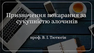 проф. В. І. Тютюгін «Призначення покарання за сукупністю злочинів»