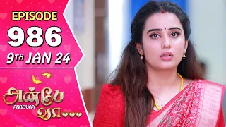 Anbe Vaa Serial | Episode 986 | 9th Jan 2024 | Virat | Delna Davis | Saregama TV Shows Tamil