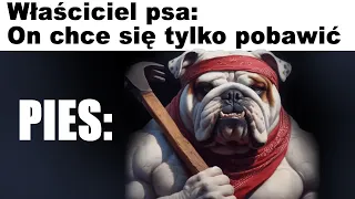 Dzienna Dawka MEMÓW 🤣 |34| Polskie memy 2023 | Memy po Polsku |