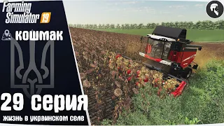 Farming Simulator 19: Село Кошмак #29 ● Уборка подсолнуха