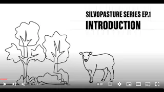 SILVOPASTURE SERIES: EP 1 INTRODUCTION