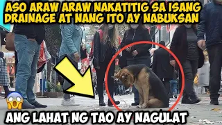 ASO ARAW ARAW NAKATITIG SA ISANG DRAINAGE AT NANG ITOY NABUKSAN, ANG LAHAT NG TAO AY NAGULAT