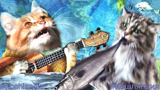 "Ты Рыбачка, Я...,"- Рыжий Кот Мечтает о Большой Рыбе #кошки Fish dream #Ginger_cat Song