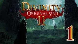 Divinity Original Sin II - 1: Shipwrecked - Let's Play Divinity Gameplay