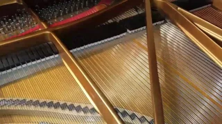 Steinway model D