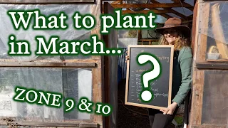 March DOs & DON'Ts 🚫 What We're Planting This Month