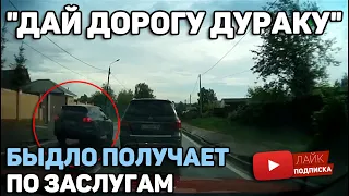 Автоподборка "Дай дорогу дураку"🚘 Быдло получает по Заслугам#117