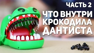 Что внутри экстремального крокодила - дантиста