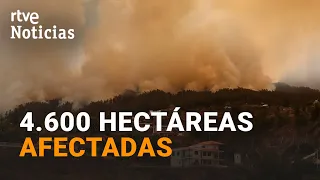 INCENDIO LA PALMA: Tratan de sofocar el FUEGO que afecta ya a la CALDERA DE TABURIENTE | RTVE