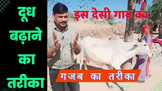 देसी गाय का दूध कैसे बढ़ाएं Desi Gaay ka Doodh kaise badhaye