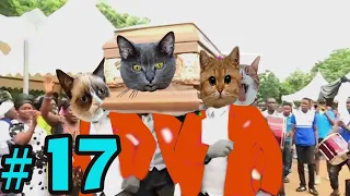 Coffin Dance Meme: Dog and Cat Meme Compilation 2021 #17