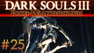 Dark Souls 3 Profi Walkthrough #25 | Tänzerin vom Nordwindtal