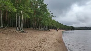 Пляж озеро Глубокое Ленинградская область