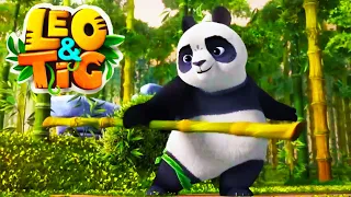 LEO and TIG 🦁 🐯 Collection of all new episodes — The Bamboo Master 💚 Moolt Kids Toons Happy Bear