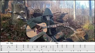 S.T.A.L.K.E.R. OST guitar 9 + TABS