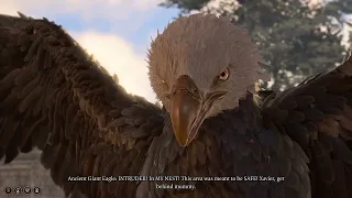 The Eagle Mother and Xavier in Baldur's Gate 3