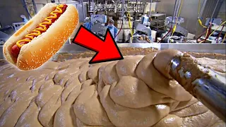 Hotdogs | HOW IT'S MADE