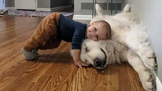 When we had a happy childhood together and beyond - Cute dog and little human