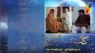 Gila Episode 17 Teaser [ Wahaj Ali - Anzela Abbasi ] Best Pakistani Serial - Hum TV (Drama promo)