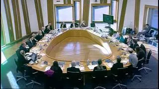 Health and Sport Committee - Scottish Parliament: 19th November 2013