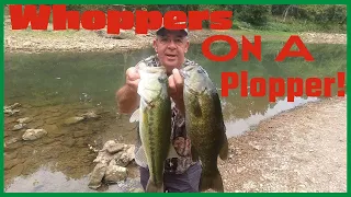 River Whoppers on Ploppers!!