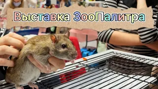 Выставка ЗооПалитра 2021 🐀