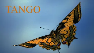 Tango "Butterfly". In Albanian. Танго "Бабочка". На албанском языке. Албанское танго Таке и Стамбола