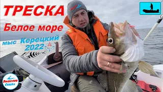 ✅ ТРЕСКА НА БЕЛОМ МОРЕ 2022  🎣🐟🐟🐟мыс. КЕРЕЦКИЙ #Рыболов_Севера