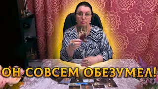 ОН СОВСЕМ ОБЕЗУМЕЛ?! ЧТО ОН ХОЧЕТ ВАМ СКАЗАТЬ?