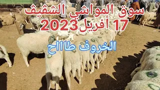 سوق الماشية لبلدية الشڤيڤ 17 أفريل ،،الخروف اليوم ناقص و باير لي شرا ربح