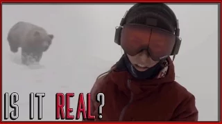 IS IT REAL?- Snowboarder Girl Chased By Bear (Real Or Fake)