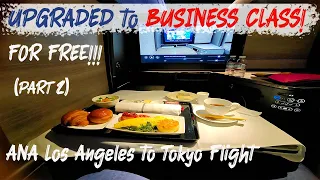 ANA Business Class (ANA The Room) Review Part 2 | LAX to Tokyo | September 11, 2022