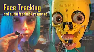 Face Tracking for Hannah