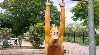 Remnants of monkey swing at West Ham Park 2024