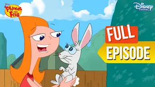 Candace & Mr. Cutie-Patootie | Phineas And Ferb | @disneyindia