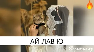 Шуточная Песня Ай Лав ю😍