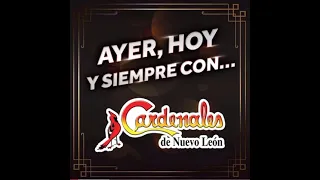 Cardenales de Nuevo León   Corazón necio