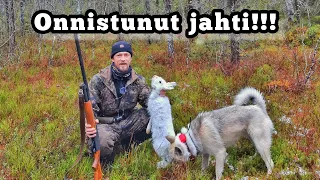 Kanalintujahdin odottamattomat käänteet - Metsästystä koiran kanssa!