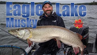 Sunset Country Musky on Eagle Lake (Birch Dale Lodge)!