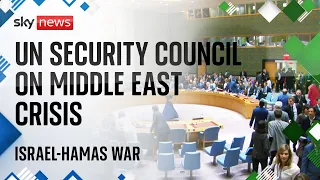 UN Security Council discuss the crisis in the Middle East