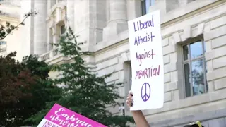 Progressive Feminist Pro-Life Advocates Protest at Pro-Abortion Women's March in D.C.