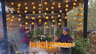 Harvesting and Drying Red Persimmons