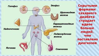 Первые симптомы заболеваний эндокринной системы