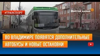 Во Владимире появятся дополнительные автобусы и новые остановки